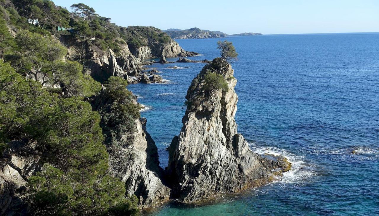Studio Residence Bona, Vue Hippodrome Et Mer, Clim 히에레 외부 사진