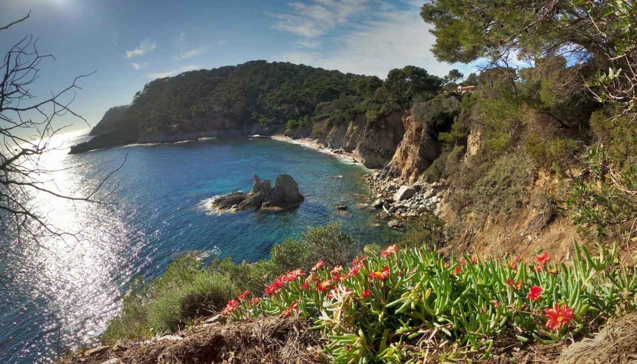 Studio Residence Bona, Vue Hippodrome Et Mer, Clim 히에레 외부 사진